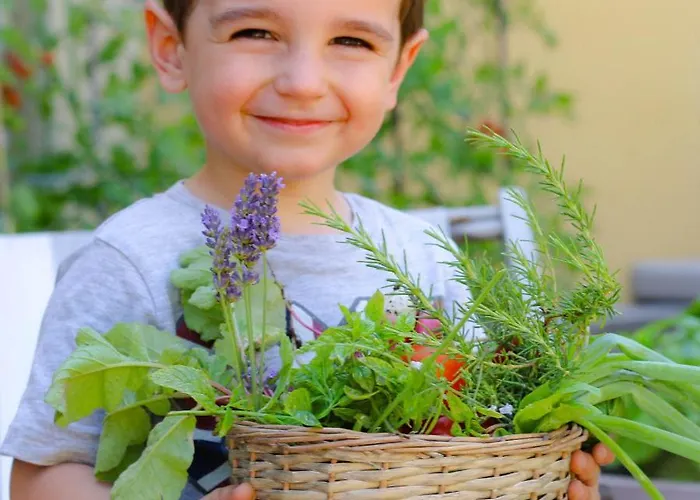 Sud Restaurant 2* 巴斯蒂亚