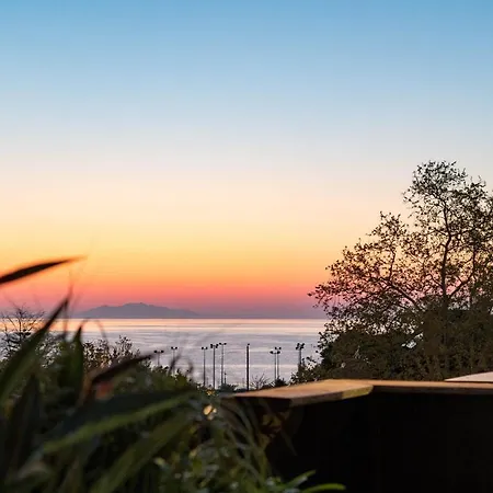 Sud Restaurant Bastia (Corsica)