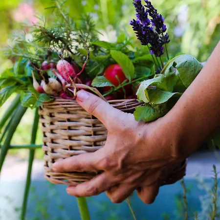 Sud Restaurant 2* باستيا