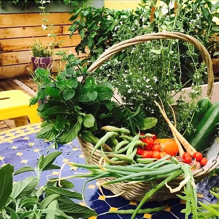 Sud Restaurant 2* باستيا