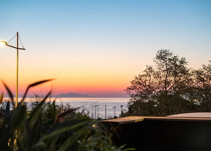 Sud Restaurant Bastia (Corsica)