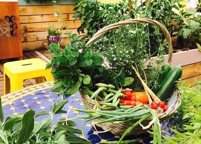 Sud Restaurant 2* Bastia (Corsica)